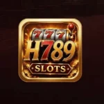 H789 Game