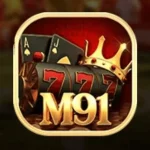 M91 Game